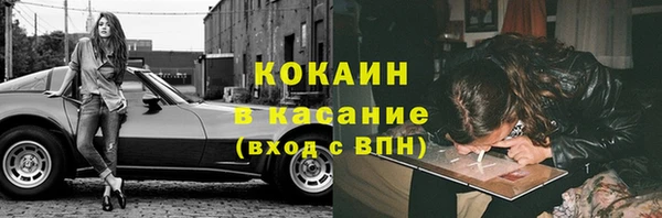 гидра Арсеньев