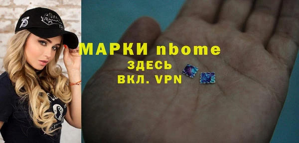 гидра Арсеньев