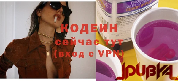 гидра Арсеньев