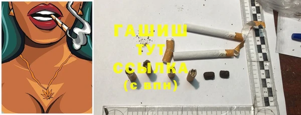 гидра Арсеньев