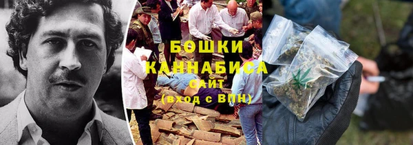 гидра Арсеньев