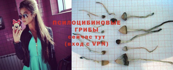 гидра Арсеньев