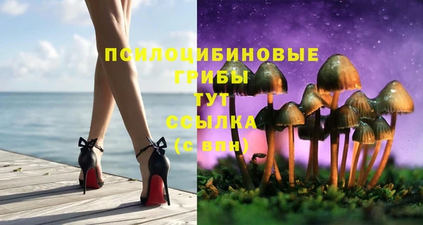 мдпв Армянск
