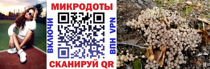 МЕГА ССЫЛКА  Суровикино  Псилоцибиновые грибы мицелий 